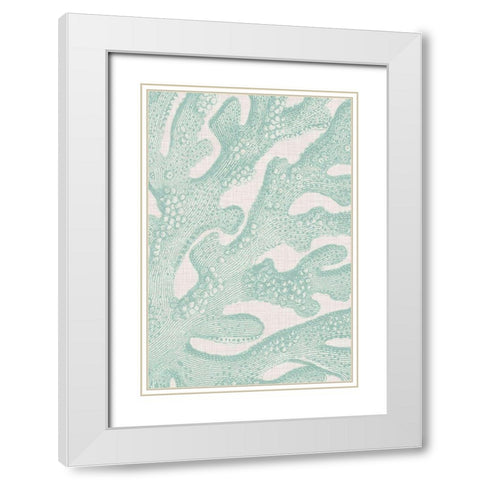 Coastal Christmas Collection F White Modern Wood Framed Art Print with Double Matting by Vision Studio