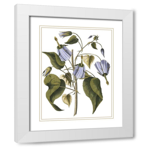 Lavender Floral I White Modern Wood Framed Art Print with Double Matting by Vision Studio