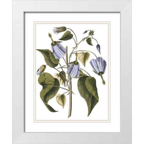 Lavender Floral I White Modern Wood Framed Art Print with Double Matting by Vision Studio