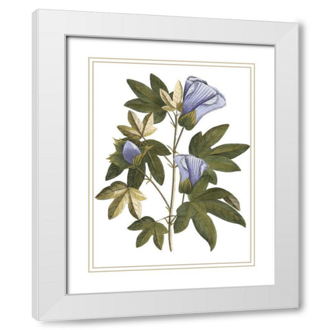 Lavender Floral II White Modern Wood Framed Art Print with Double Matting by Vision Studio
