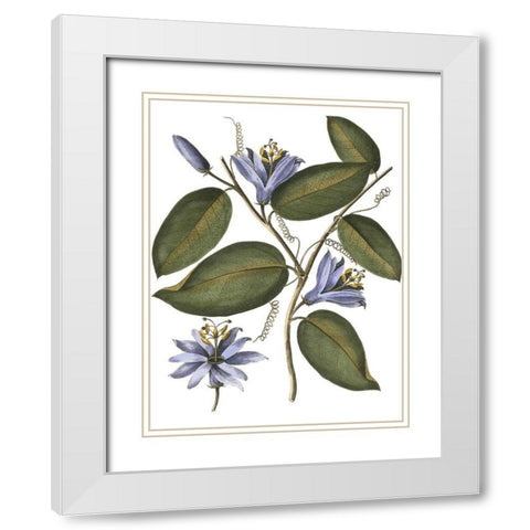 Lavender Floral III White Modern Wood Framed Art Print with Double Matting by Vision Studio