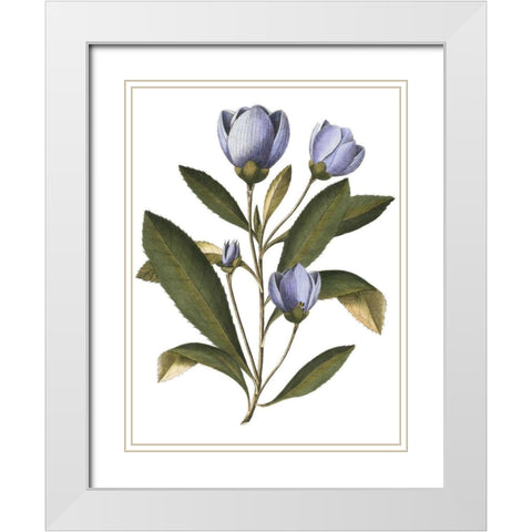 Lavender Floral IV White Modern Wood Framed Art Print with Double Matting by Vision Studio