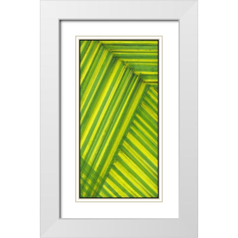 Line Study Green White Modern Wood Framed Art Print with Double Matting by McMullen, Charles