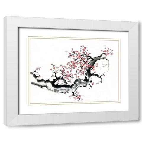 Plum Blossom Branch III White Modern Wood Framed Art Print with Double Matting by Parker, Nan Rae