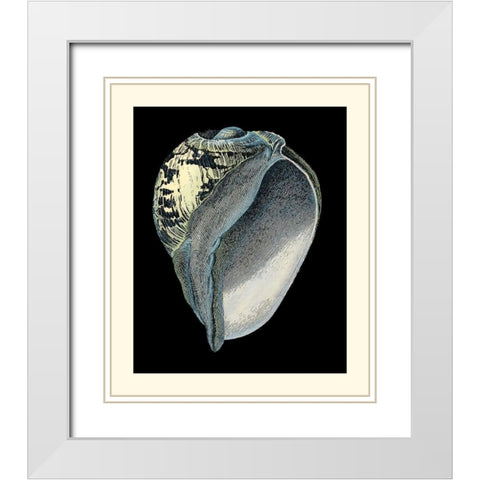 Treasures of the Sea VI White Modern Wood Framed Art Print with Double Matting by Redoute, Pierre