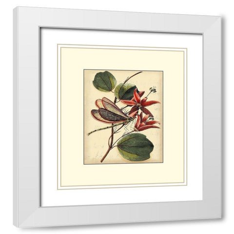 Petite Dragonflies III White Modern Wood Framed Art Print with Double Matting by Vision Studio