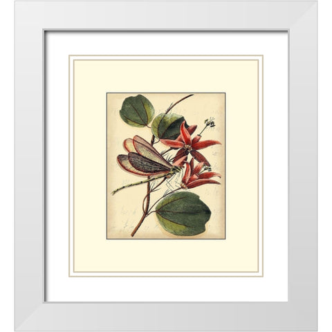 Petite Dragonflies III White Modern Wood Framed Art Print with Double Matting by Vision Studio