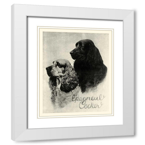B and W Epagneul Cocker White Modern Wood Framed Art Print with Double Matting by Vision Studio