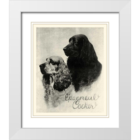 B and W Epagneul Cocker White Modern Wood Framed Art Print with Double Matting by Vision Studio