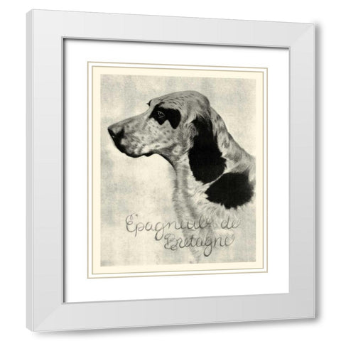 B and W Epagneul de Bretagne White Modern Wood Framed Art Print with Double Matting by Vision Studio