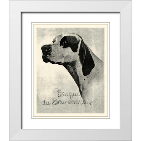 B and W Brague du Bourbonnais White Modern Wood Framed Art Print with Double Matting by Vision Studio