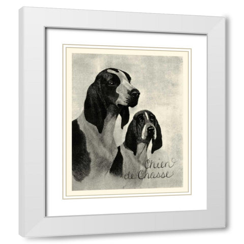 B and W Chien de Chasse White Modern Wood Framed Art Print with Double Matting by Vision Studio