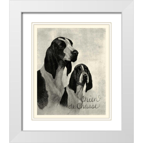 B and W Chien de Chasse White Modern Wood Framed Art Print with Double Matting by Vision Studio