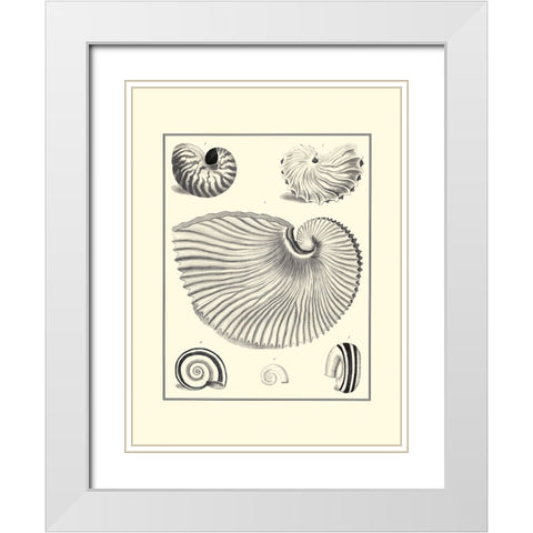 BW Studies in Symmetry II White Modern Wood Framed Art Print with Double Matting by Knorr