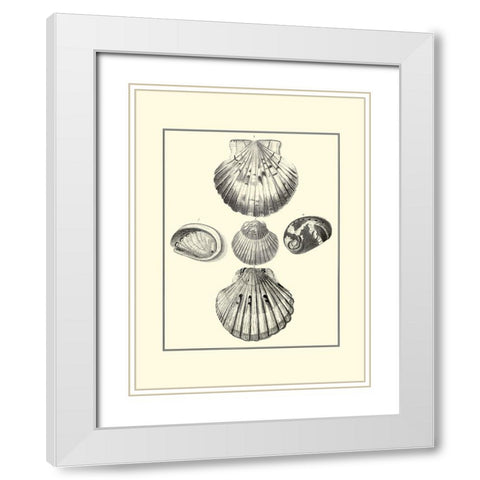 BW Studies in Symmetry V White Modern Wood Framed Art Print with Double Matting by Knorr