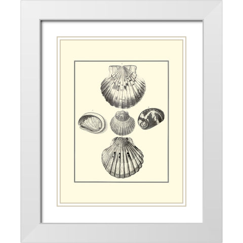 BW Studies in Symmetry V White Modern Wood Framed Art Print with Double Matting by Knorr