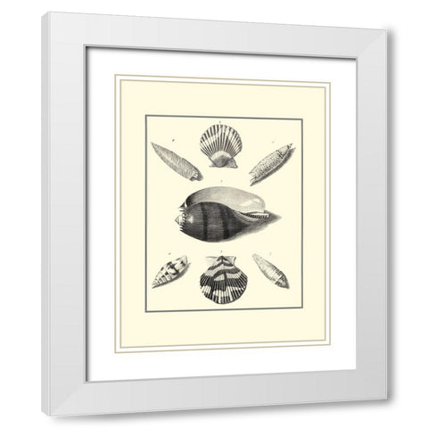 BW Studies in Symmetry VI White Modern Wood Framed Art Print with Double Matting by Knorr