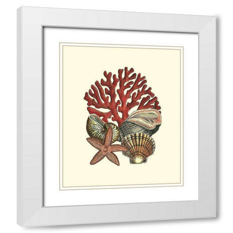 Coral Medley I White Modern Wood Framed Art Print with Double Matting by Vision Studio