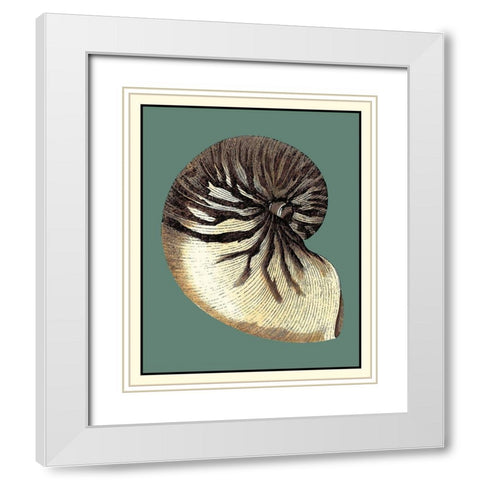 Oceans Treasure III White Modern Wood Framed Art Print with Double Matting by Vision Studio