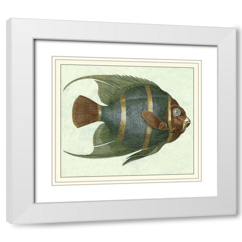 Angel Fish I White Modern Wood Framed Art Print with Double Matting by Vision Studio