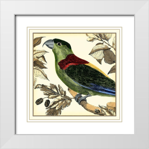 Tropical Parrot IV White Modern Wood Framed Art Print with Double Matting by Martinet