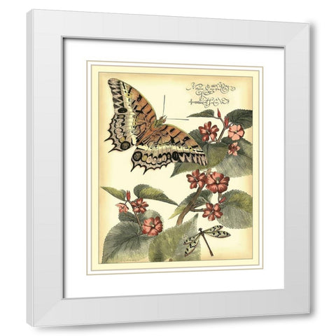Whimsical Butterflies II White Modern Wood Framed Art Print with Double Matting by Vision Studio