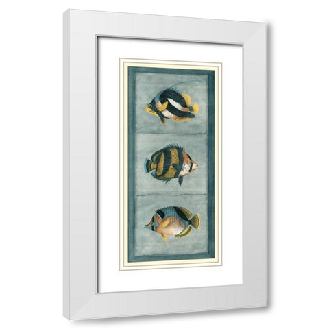 Tropical Fish Trio II White Modern Wood Framed Art Print with Double Matting by Vision Studio