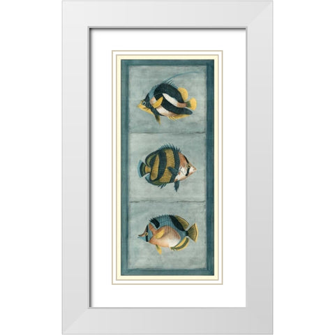 Tropical Fish Trio II White Modern Wood Framed Art Print with Double Matting by Vision Studio