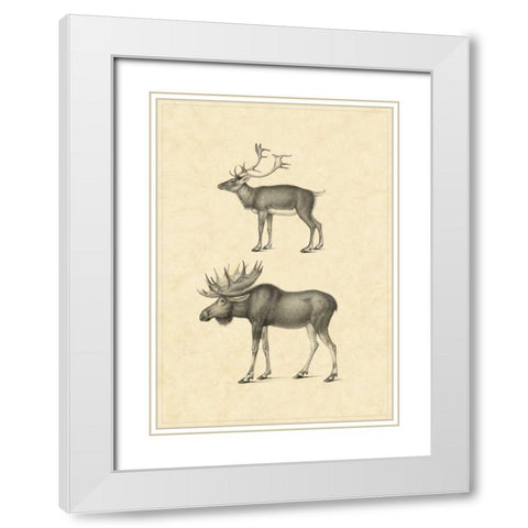 Vintage Elk White Modern Wood Framed Art Print with Double Matting by Vision Studio