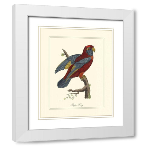 Raja Lory White Modern Wood Framed Art Print with Double Matting by Edwards, George