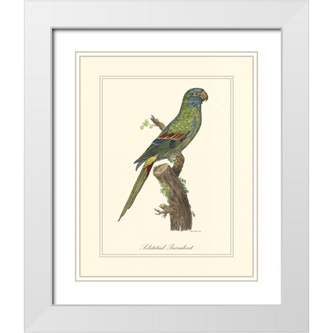 Solstitial Parrakeet White Modern Wood Framed Art Print with Double Matting by Edwards, George