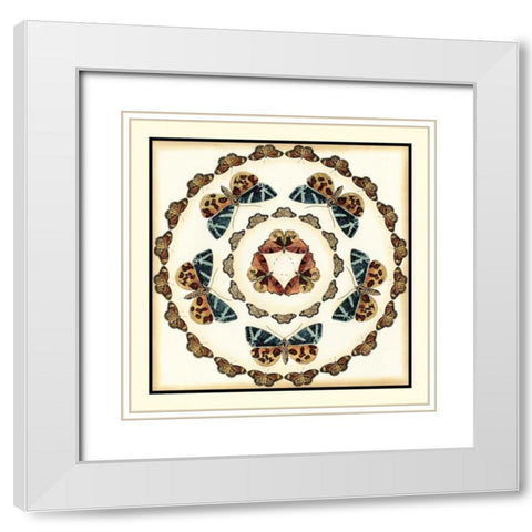 Butterfly Collector III White Modern Wood Framed Art Print with Double Matting by Zarris, Chariklia