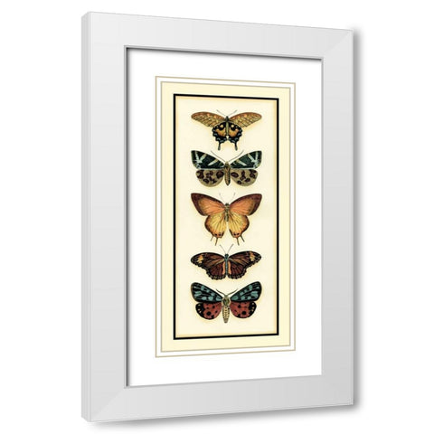 Butterfly Collector V White Modern Wood Framed Art Print with Double Matting by Zarris, Chariklia