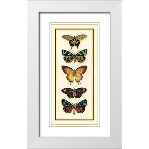 Butterfly Collector V White Modern Wood Framed Art Print with Double Matting by Zarris, Chariklia