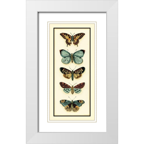 Butterfly Collector VI White Modern Wood Framed Art Print with Double Matting by Zarris, Chariklia