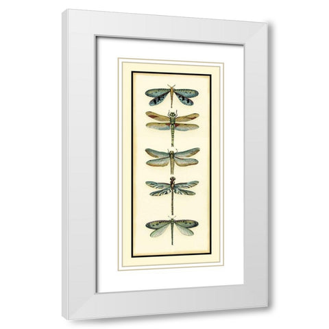 Dragonfly Collector I White Modern Wood Framed Art Print with Double Matting by Zarris, Chariklia