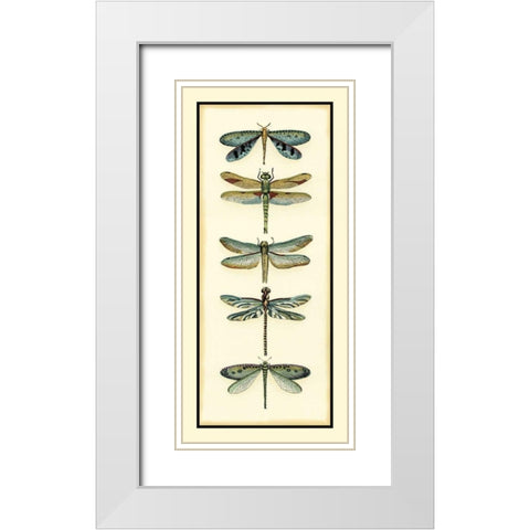 Dragonfly Collector I White Modern Wood Framed Art Print with Double Matting by Zarris, Chariklia