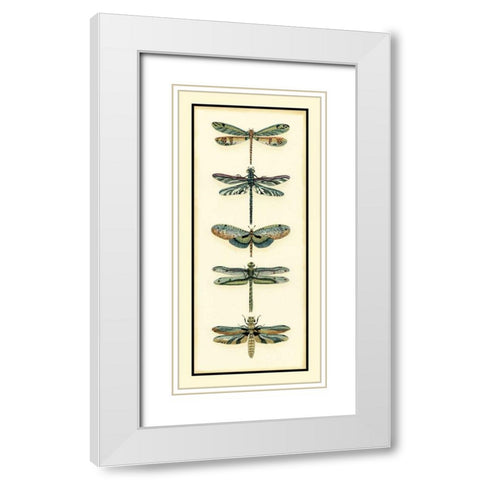 Dragonfly Collector II White Modern Wood Framed Art Print with Double Matting by Zarris, Chariklia