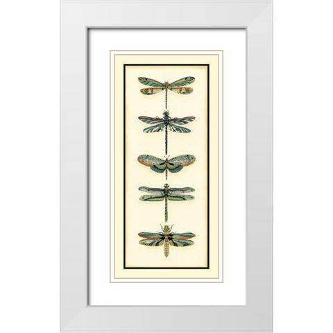 Dragonfly Collector II White Modern Wood Framed Art Print with Double Matting by Zarris, Chariklia