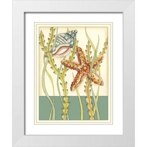 Shell Season I White Modern Wood Framed Art Print with Double Matting by Zarris, Chariklia