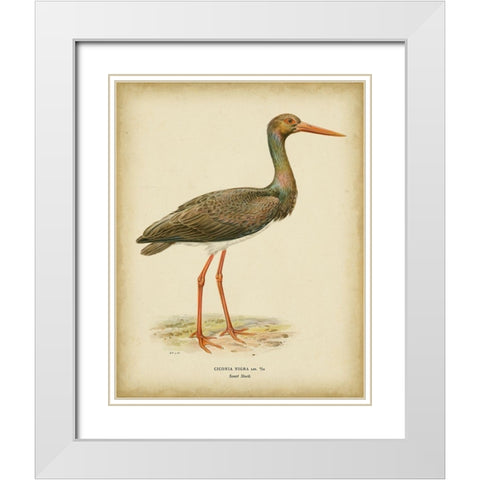 Non-embellished Vintage Heron I White Modern Wood Framed Art Print with Double Matting by Wright, Von