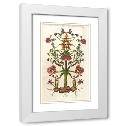 Botanical Hybrid I White Modern Wood Framed Art Print with Double Matting by McCavitt, Naomi