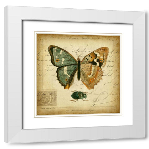Custom Postscript Butterfly I (GC) White Modern Wood Framed Art Print with Double Matting by Vision Studio