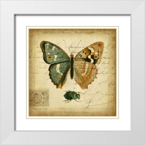Custom Postscript Butterfly I (GC) White Modern Wood Framed Art Print with Double Matting by Vision Studio