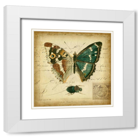 Custom Postscript Butterfly II (GC) White Modern Wood Framed Art Print with Double Matting by Vision Studio