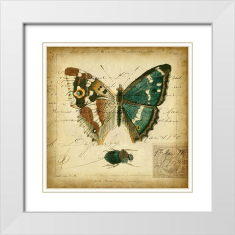 Custom Postscript Butterfly II (GC) White Modern Wood Framed Art Print with Double Matting by Vision Studio