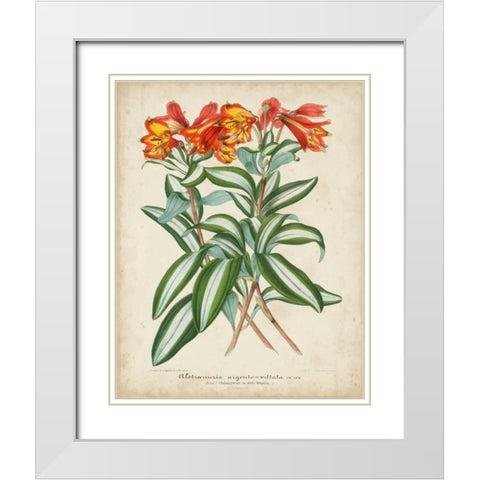 Tropical Array III White Modern Wood Framed Art Print with Double Matting by Van Houtteano, Horto