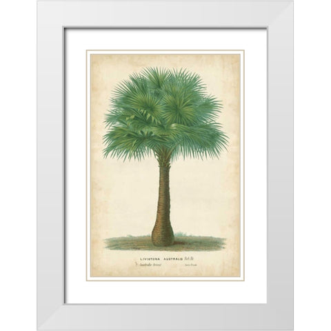 Palm of the Tropics I White Modern Wood Framed Art Print with Double Matting by Van Houtteano, Horto