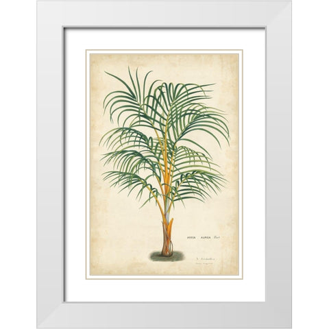Palm of the Tropics III White Modern Wood Framed Art Print with Double Matting by Van Houtteano, Horto