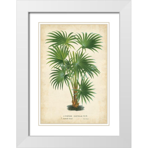 Palm of the Tropics IV White Modern Wood Framed Art Print with Double Matting by Van Houtteano, Horto